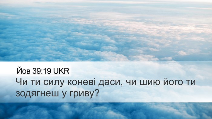 Йов 39:19 UKR Bible Verse Image