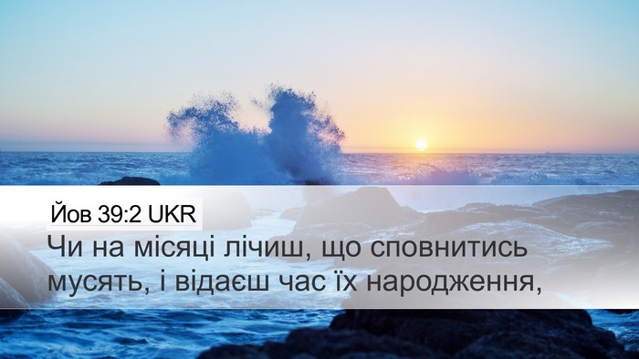 Йов 39:2 UKR Desktop Wallpaper - Чи на місяці лічиш, що - Desktop Bible Verse Wallpaper