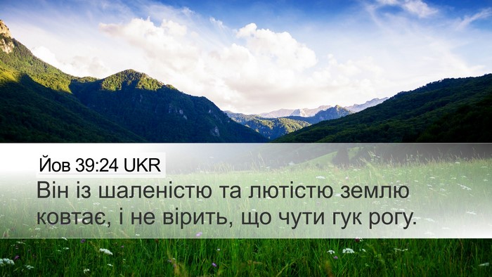 Йов 39:24 UKR Desktop Wallpaper - Він із шаленістю та - Desktop Bible Verse Wallpaper