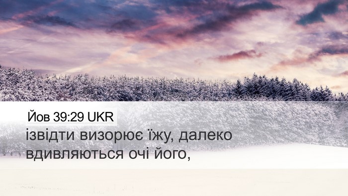 Йов 39:29 UKR Desktop Wallpaper - ізвідти визорює їжу, - Desktop Bible Verse Wallpaper