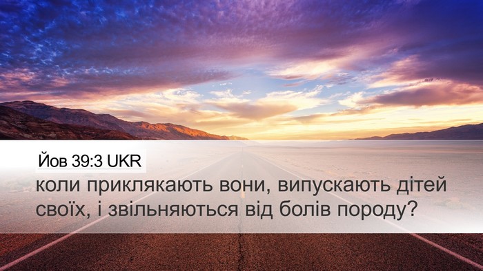 Йов 39:3 UKR Desktop Wallpaper - коли приклякають вони, - Desktop Bible Verse Wallpaper