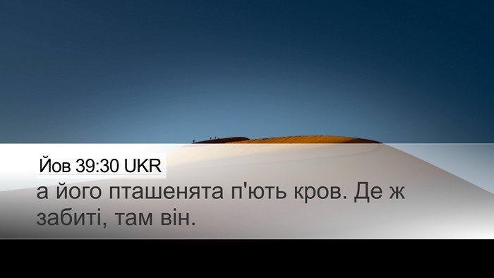 Йов 39:30 UKR Desktop Wallpaper - а його пташенята п'ють - Desktop Bible Verse Wallpaper