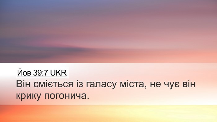 Йов 39:7 UKR Bible Verse Image