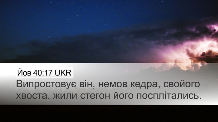Йов 40:17 UKR Desktop Wallpaper - Випростовує він, немов - Desktop Bible Verse Wallpaper