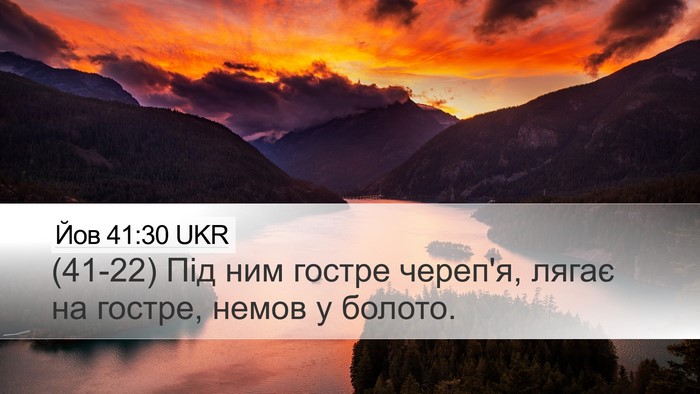 Йов 41:30 UKR Desktop Wallpaper - (41-22) Під ним гостре череп'я, - Desktop Bible Verse Wallpaper