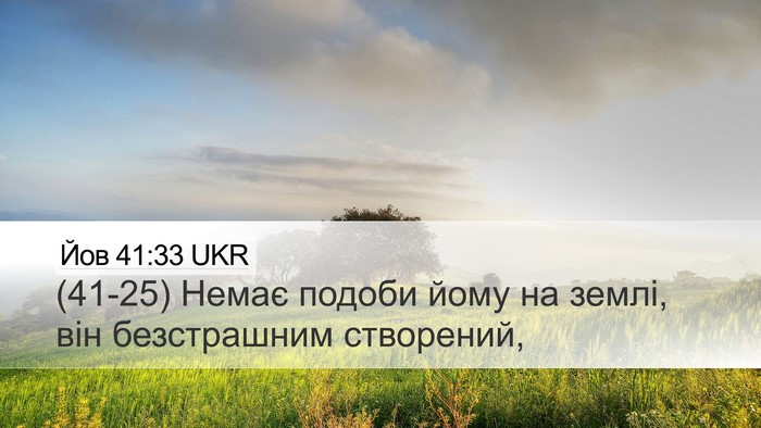 Йов 41:33 UKR Bible Verse Image
