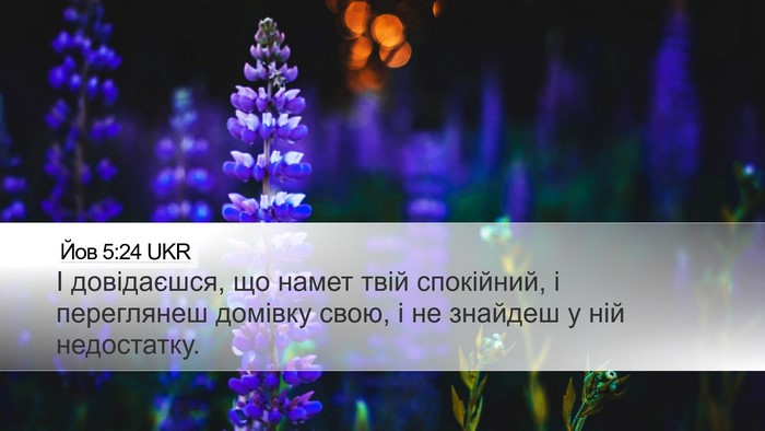 Йов 5:24 UKR Bible Verse Image