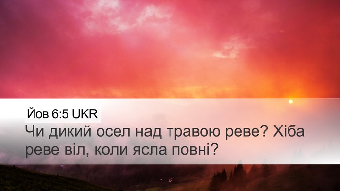 Йов 6:5 UKR Bible Verse Image