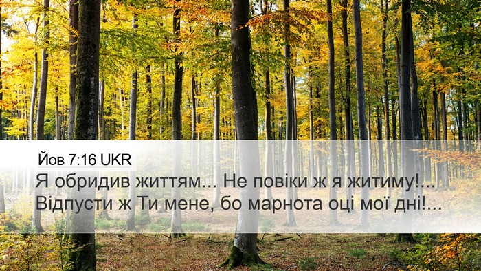 Йов 7:16 UKR Bible Verse Image
