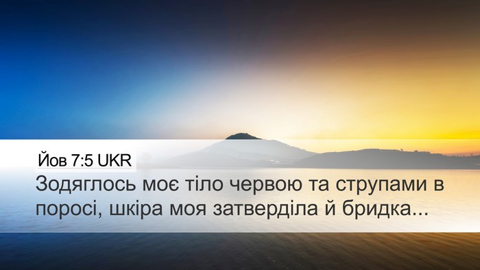 Йов 7:5 UKR Bible Verse Image