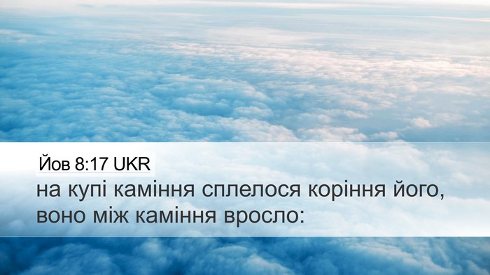 Йов 8:17 UKR Desktop Wallpaper - на купі каміння сплелося - Desktop Bible Verse Wallpaper
