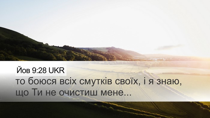 Йов 9:28 UKR Bible Verse Image