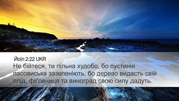 Йоїл 2:22 UKR Bible Verse Image