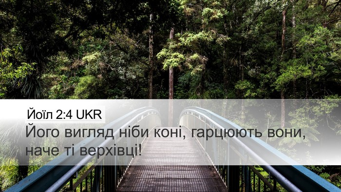Йоїл 2:4 UKR Desktop Wallpaper - Його вигляд ніби коні, - Desktop Bible Verse Wallpaper
