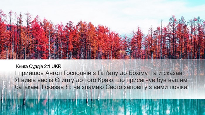 Книга Суддів 2:1 UKR Bible Verse Image
