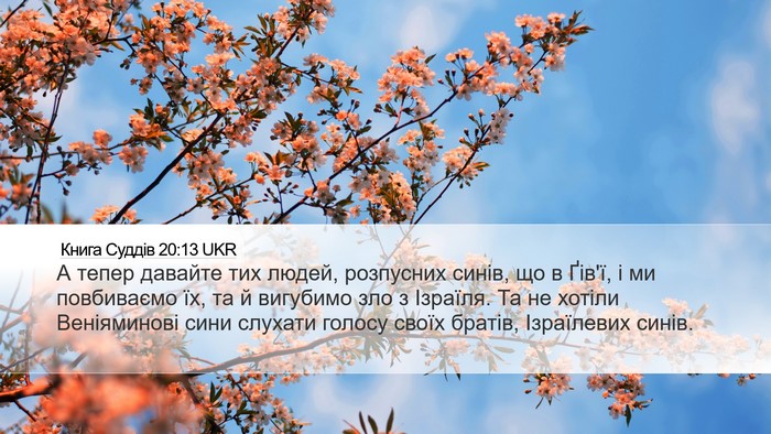 Книга Суддів 20:13 UKR Bible Verse Image