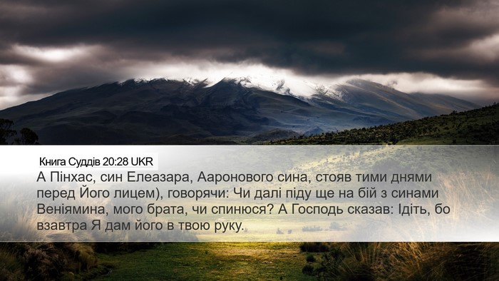Книга Суддів 20:28 UKR Bible Verse Image