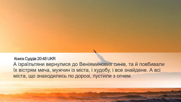 Книга Суддів 20:48 UKR Bible Verse Image