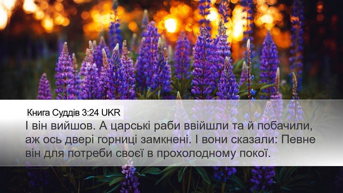 Книга Суддів 3:24 UKR Bible Verse Image