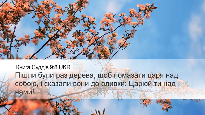 Книга Суддів 9:8 UKR Bible Verse Image
