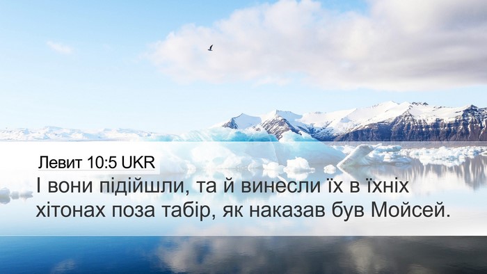 Левит 10:5 UKR Bible Verse Image