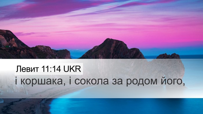 Левит 11:14 UKR Desktop Wallpaper - і коршака, і сокола за - Desktop Bible Verse Wallpaper