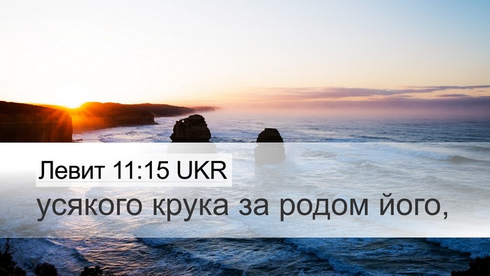 Левит 11:15 UKR Desktop Wallpaper - усякого крука за родом - Desktop Bible Verse Wallpaper
