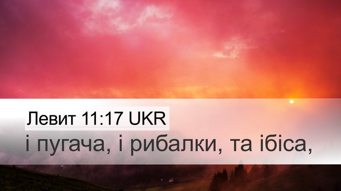 Левит 11:17 UKR Desktop Wallpaper - і пугача, і рибалки, та - Desktop Bible Verse Wallpaper