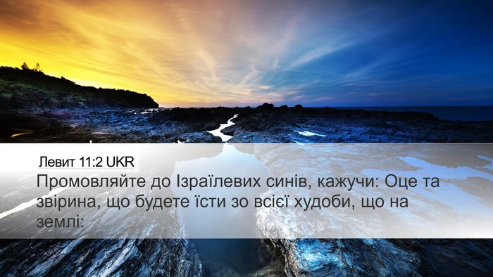 Левит 11:2 UKR Desktop Wallpaper - Промовляйте до Ізраїлевих - Desktop Bible Verse Wallpaper