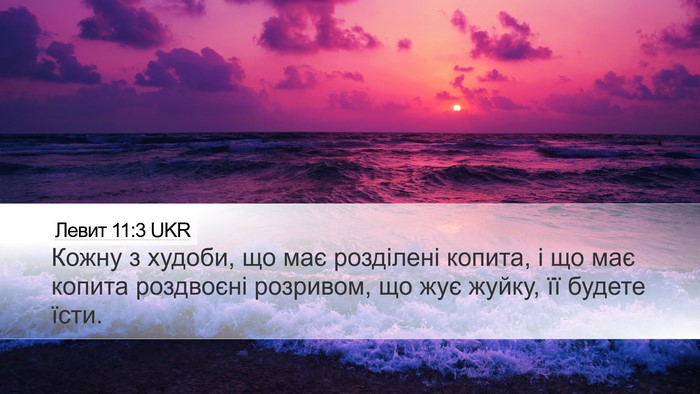 Левит 11:3 UKR Desktop Wallpaper - Кожну з худоби, що має - Desktop Bible Verse Wallpaper