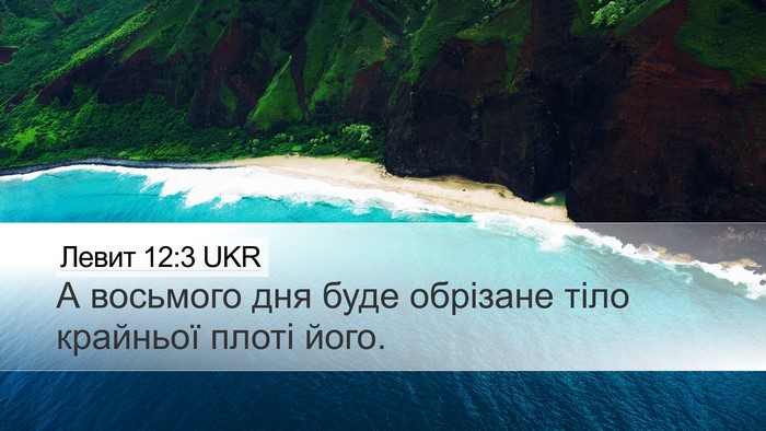 Левит 12:3 UKR Bible Verse Image