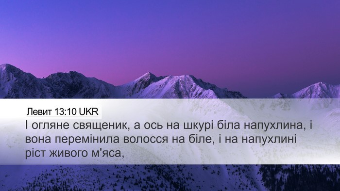 Левит 13:10 UKR Desktop Wallpaper - І огляне священик, а ось на - Desktop Bible Verse Wallpaper