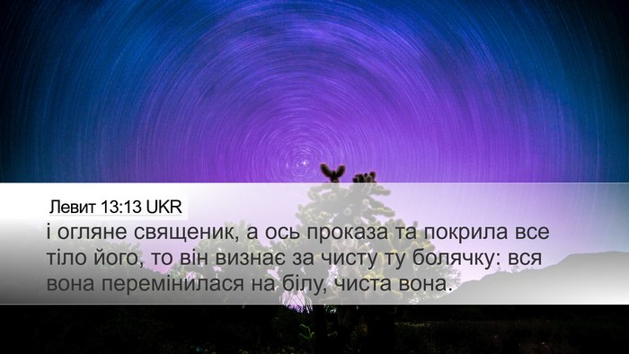 Левит 13:13 UKR Desktop Wallpaper - і огляне священик, а ось - Desktop Bible Verse Wallpaper