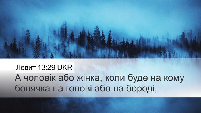 Левит 13:29 UKR Bible Verse Image