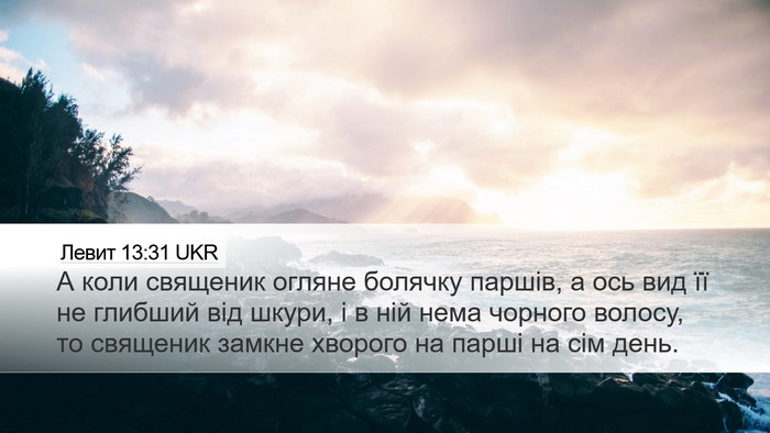 Левит 13:31 UKR Desktop Wallpaper - А коли священик огляне - Desktop Bible Verse Wallpaper