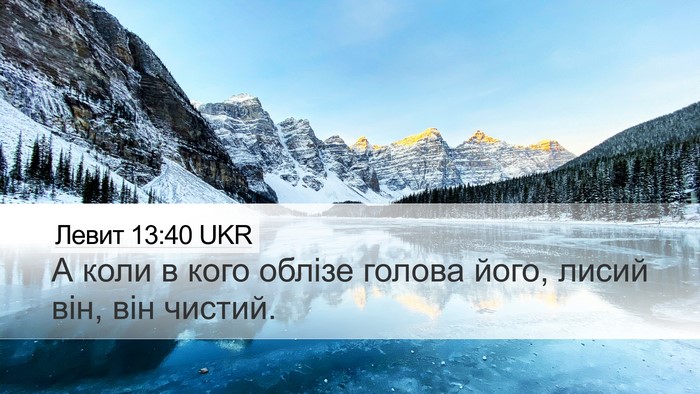 Левит 13:40 UKR Desktop Wallpaper - А коли в кого облізе голова - Desktop Bible Verse Wallpaper