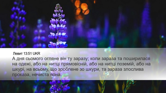 Левит 13:51 UKR Bible Verse Image