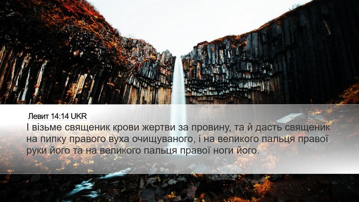 Левит 14:14 UKR Bible Verse Image