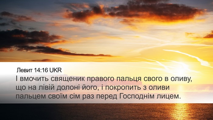 Левит 14:16 UKR Bible Verse Image