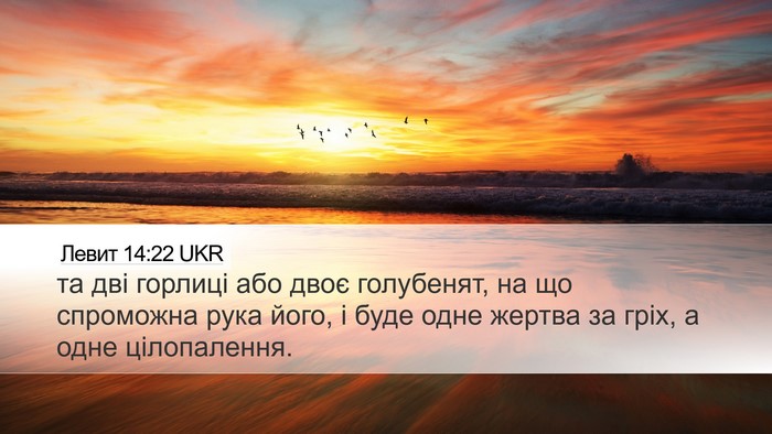 Левит 14:22 UKR Bible Verse Image
