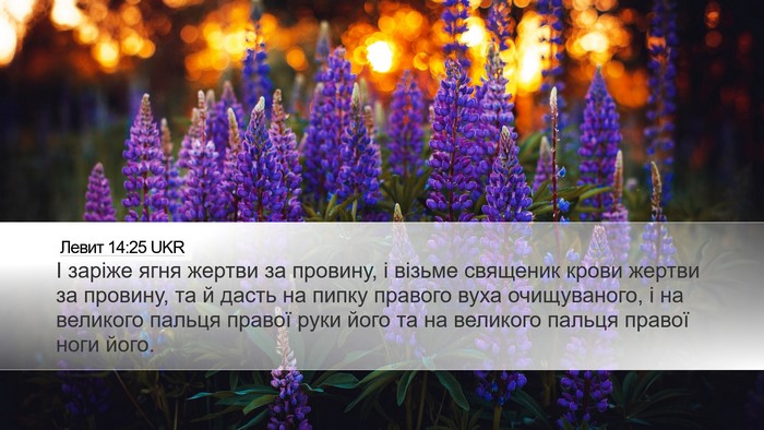 Левит 14:25 UKR Bible Verse Image