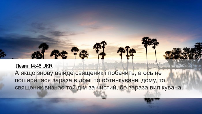 Левит 14:48 UKR Desktop Wallpaper - А якщо знову ввійде - Desktop Bible Verse Wallpaper