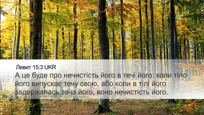Левит 15:3 UKR Desktop Wallpaper - А це буде про нечистість - Desktop Bible Verse Wallpaper