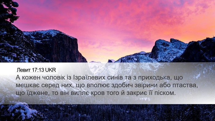 Левит 17:13 UKR Bible Verse Image
