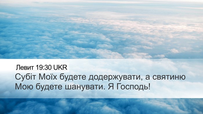 Левит 19:30 UKR Bible Verse Image