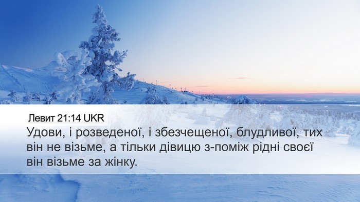 Левит 21:14 UKR Bible Verse Image