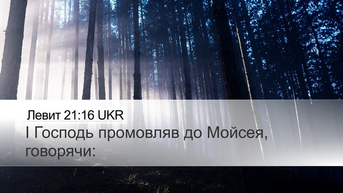 Левит 21:16 UKR Desktop Wallpaper - І Господь промовляв до - Desktop Bible Verse Wallpaper