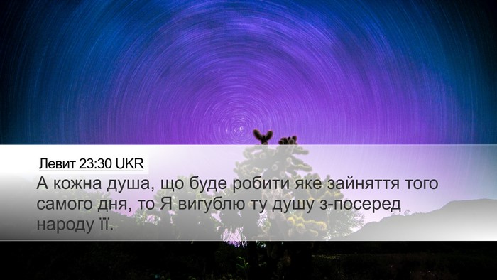 Левит 23:30 UKR Bible Verse Image