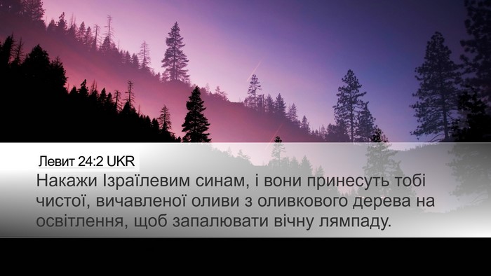 Левит 24:2 UKR Bible Verse Image