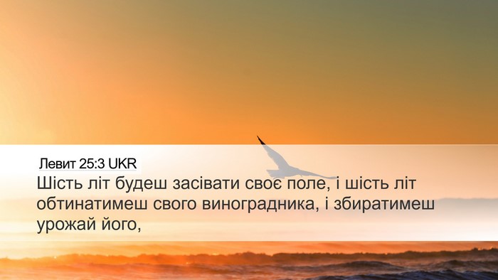Левит 25:3 UKR Desktop Wallpaper - Шість літ будеш засівати - Desktop Bible Verse Wallpaper